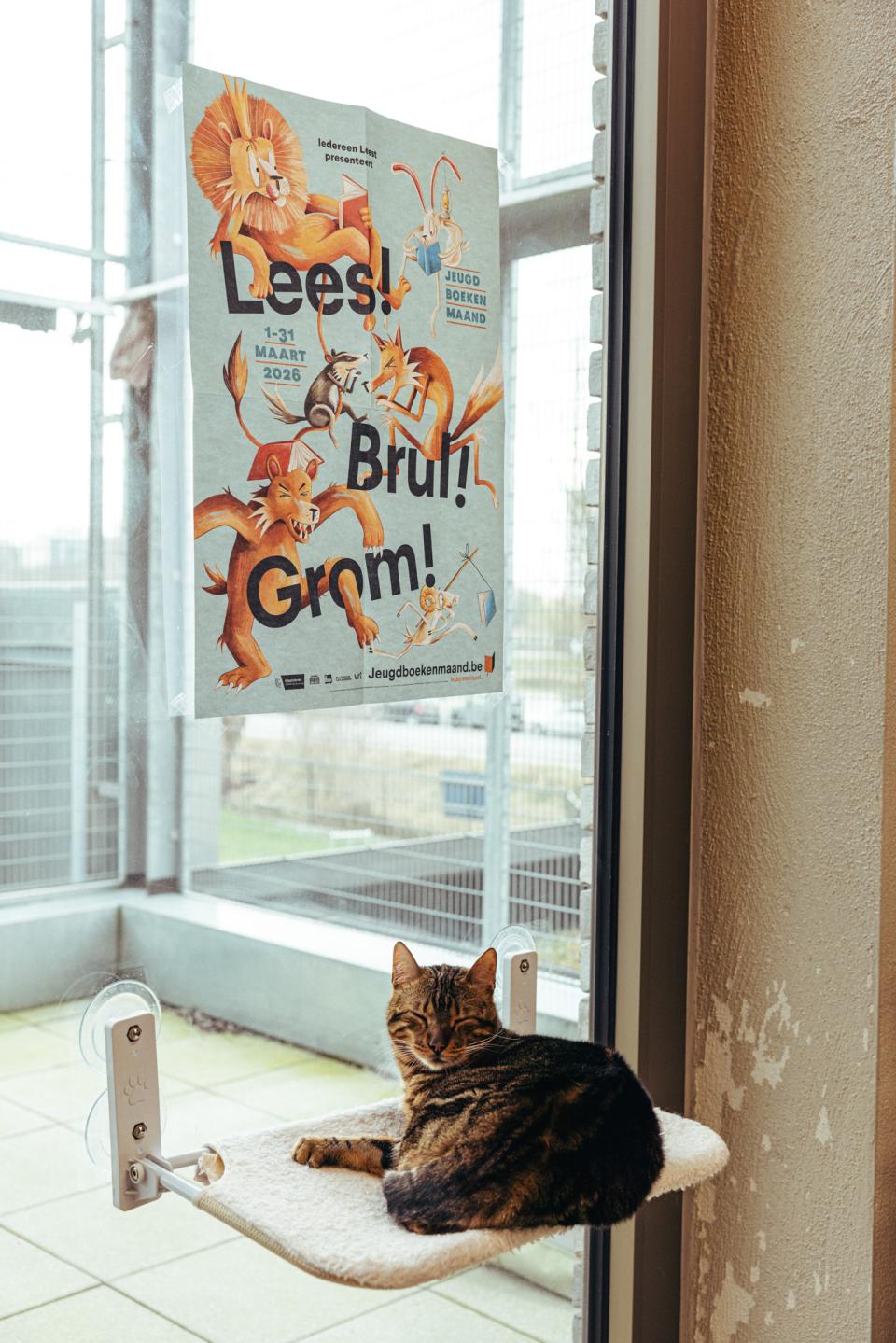 © Michiel Devijver en Iedereen Leest