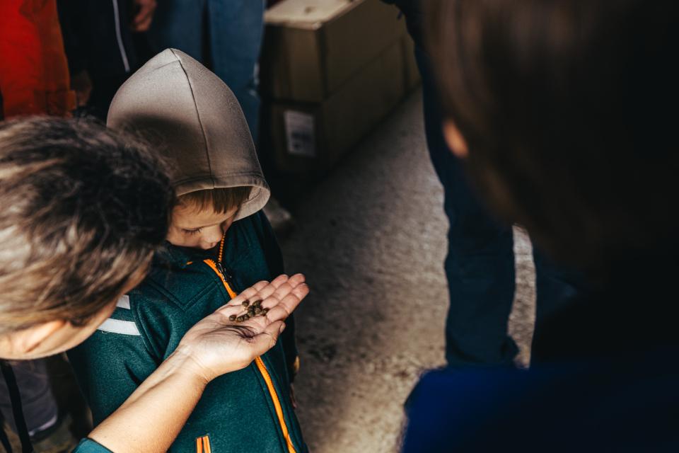 © Michiel Devijver en Iedereen Leest