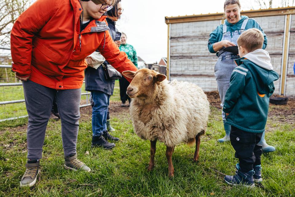 © Michiel Devijver en Iedereen Leest